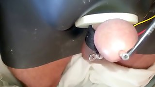 Electro with penis plug