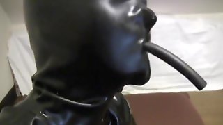 Rubber dog